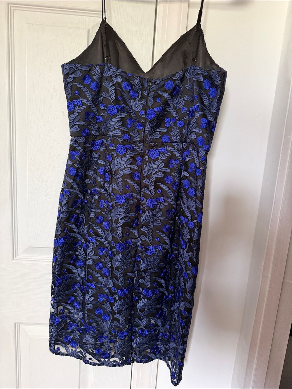 Black Floral Lace Dress with Royal Blue Detail - Picture 2 of 3